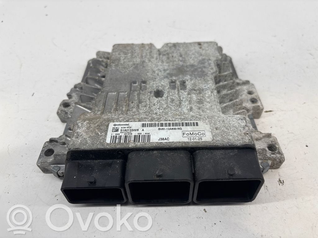 Ford Focus Engine control unit/module 