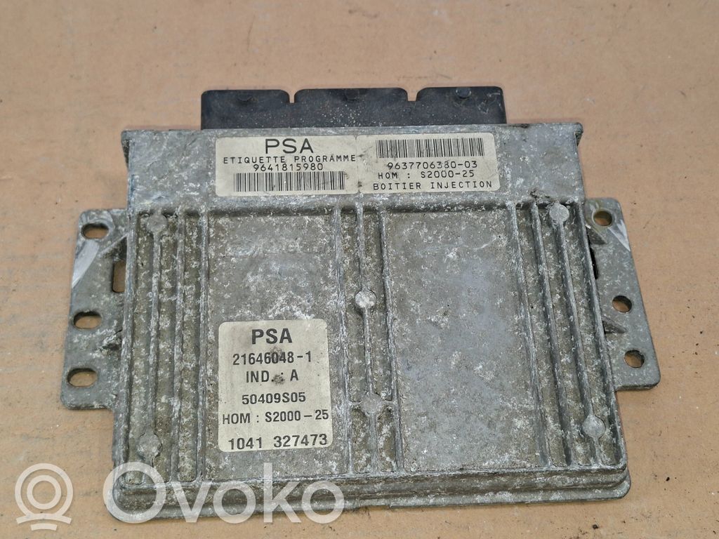 Peugeot 206 Engine control unit/module 