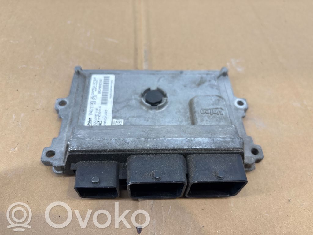 Sterownik / Moduł ECU   9805895780,131831145,V29035181A