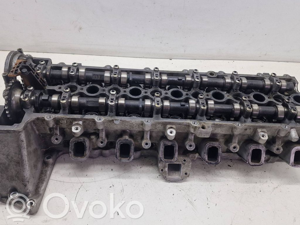 Engine head   77885819