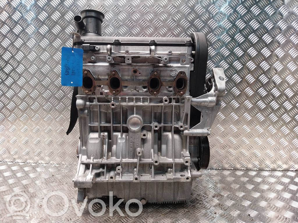 Volkswagen Golf Plus Variklis 