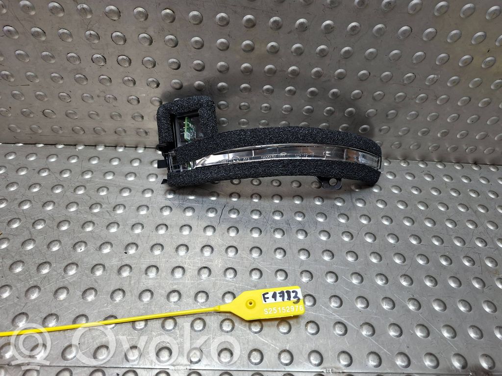 Chrysler Pacifica Mirror indicator light 