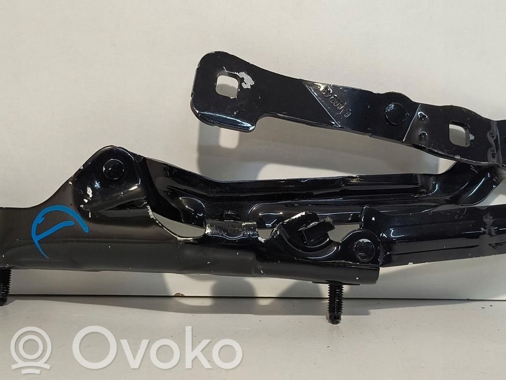 Tailgate hinge   166739800B