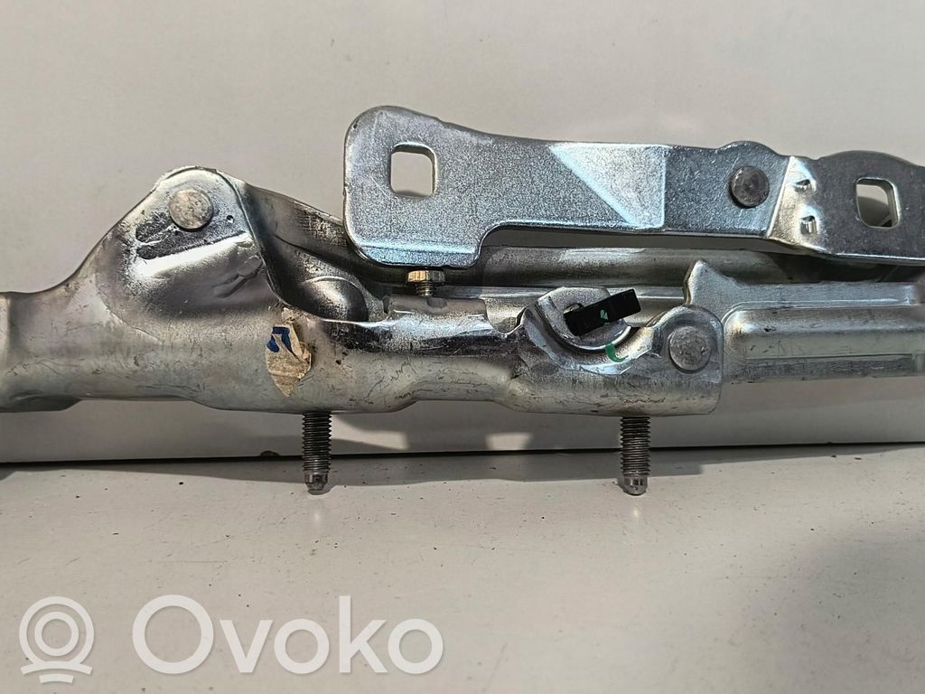 Tesla Model 3 Tailgate hinge 