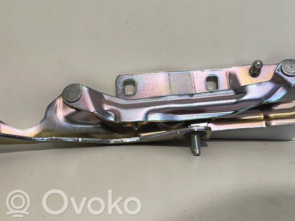 Tesla Model 3 Tailgate hinge 