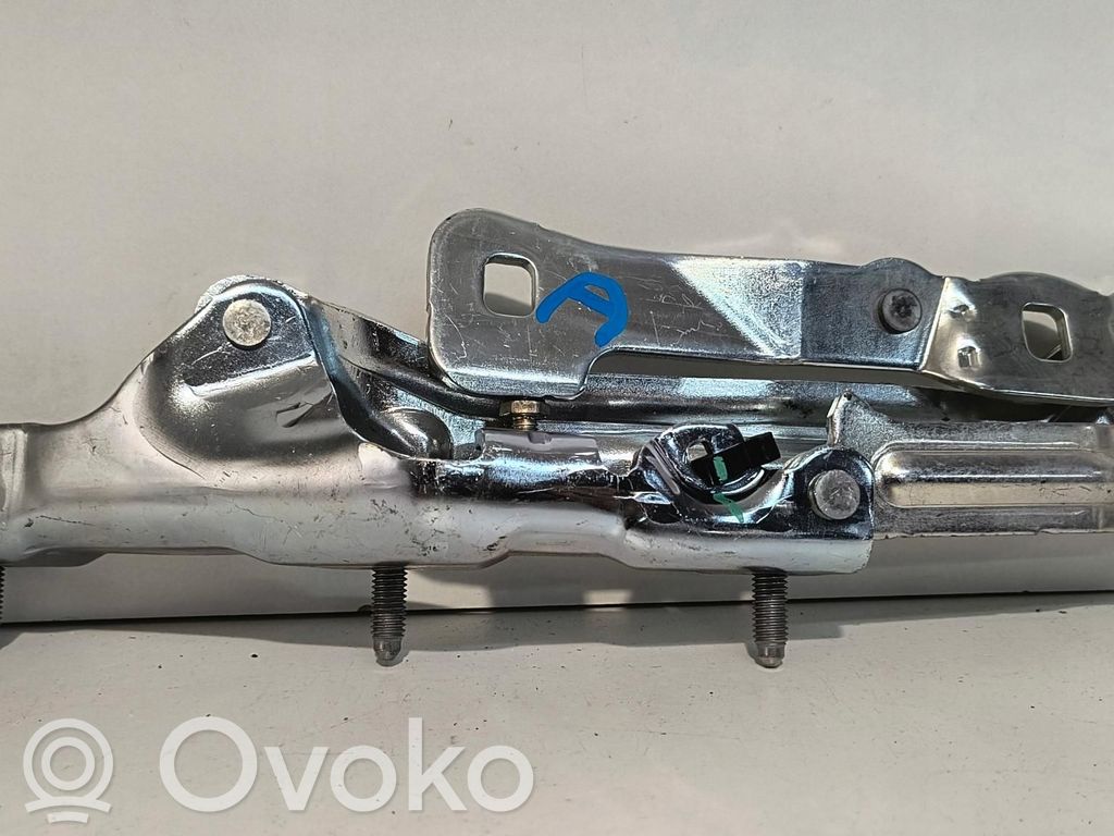 Tesla Model 3 Tailgate hinge 
