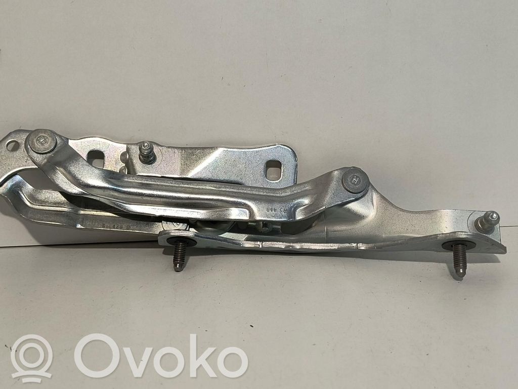 Tesla Model 3 Tailgate hinge 