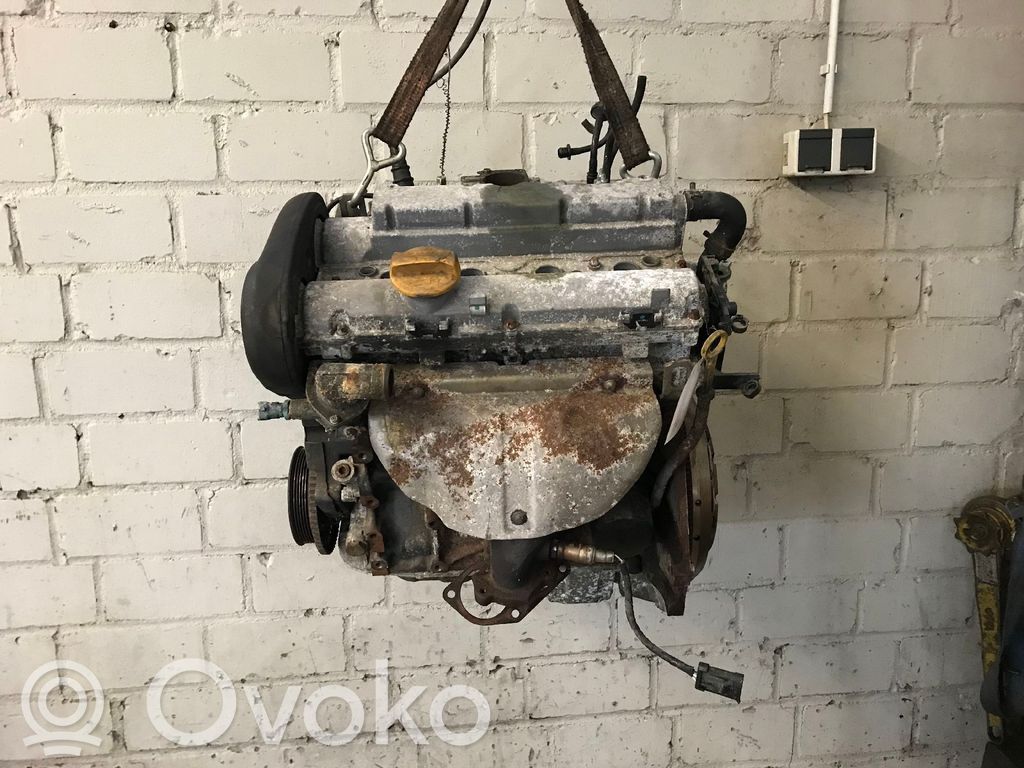 Motor   X16XEL,216238