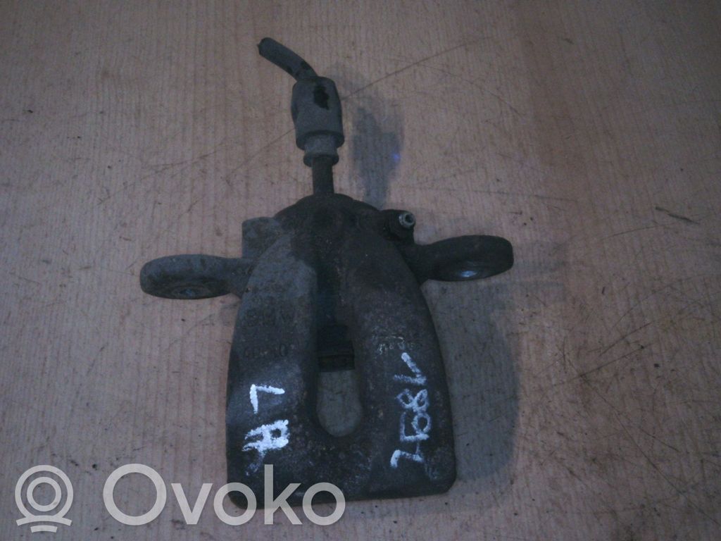 Takajarrusatula   34216776377