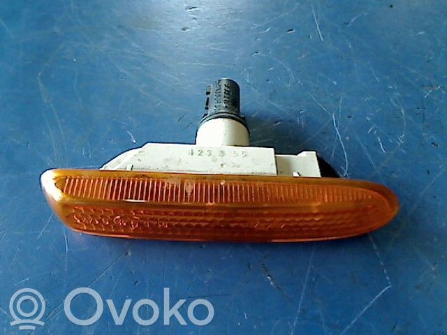 Spiegelblinker   63138370719
