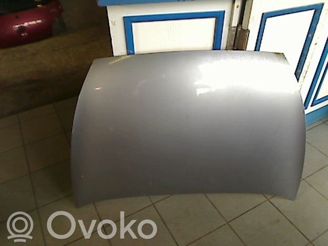 Ford Ka Motorhaube 