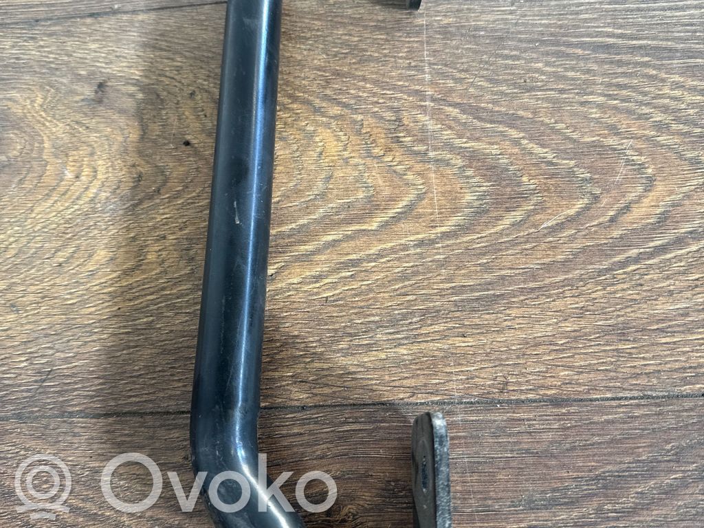 Indicator stalk   200900