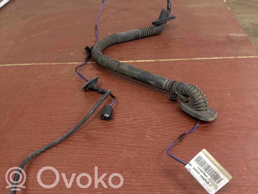 Cableado de puerta trasera   240520164R