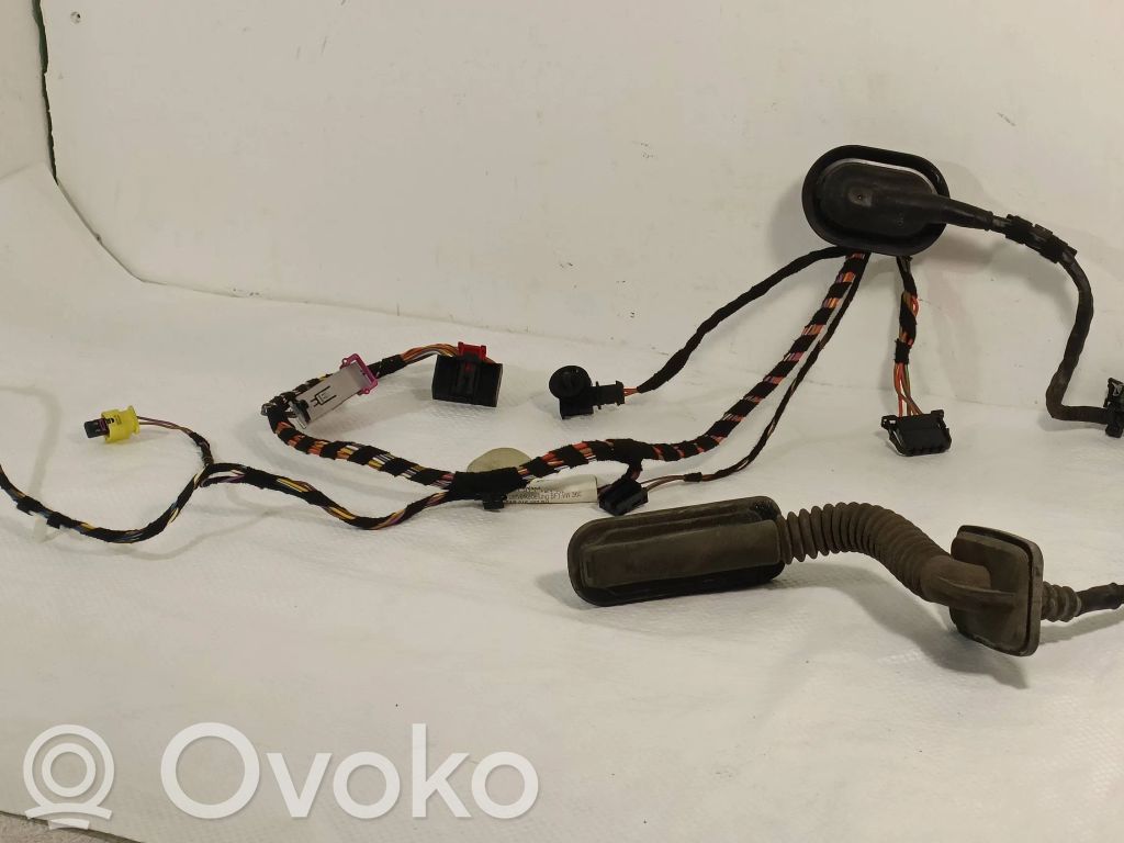 Volkswagen Golf VI Cableado de puerta delantera 
