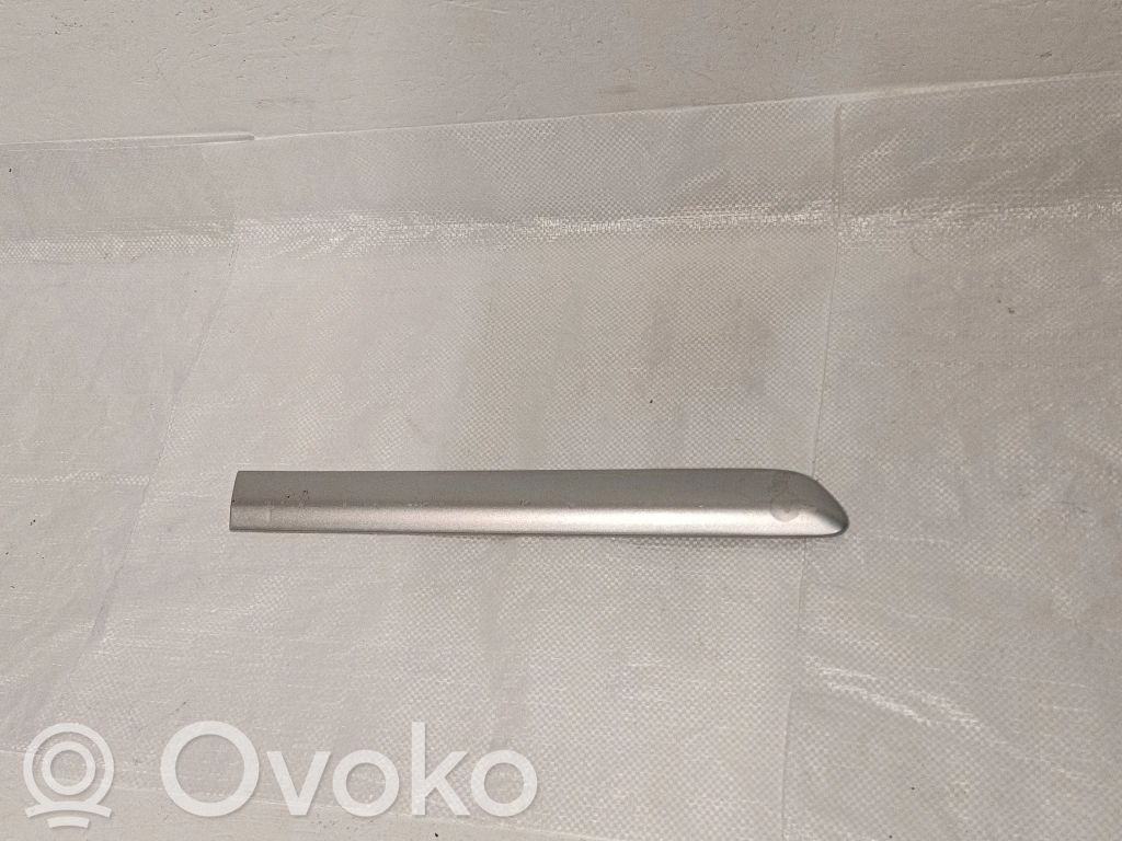 Volkswagen Golf V Listón embellecedor de la puerta delantera (moldura) 