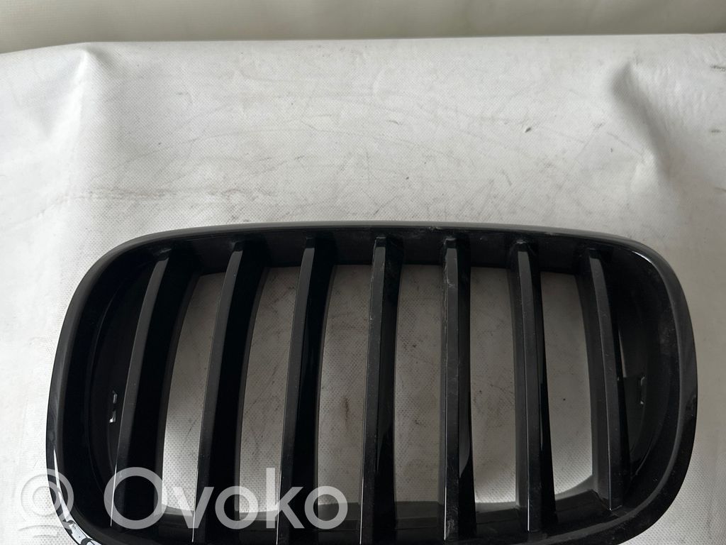 BMW X5 E70 Front bumper upper radiator grill 