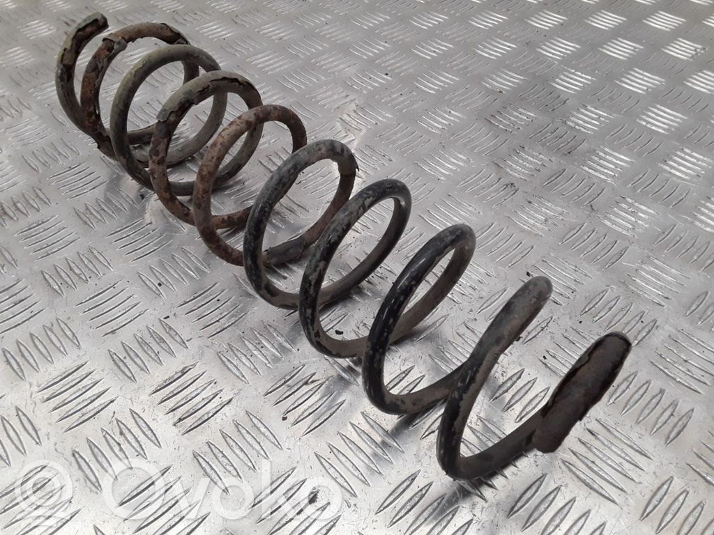 Rear coil spring