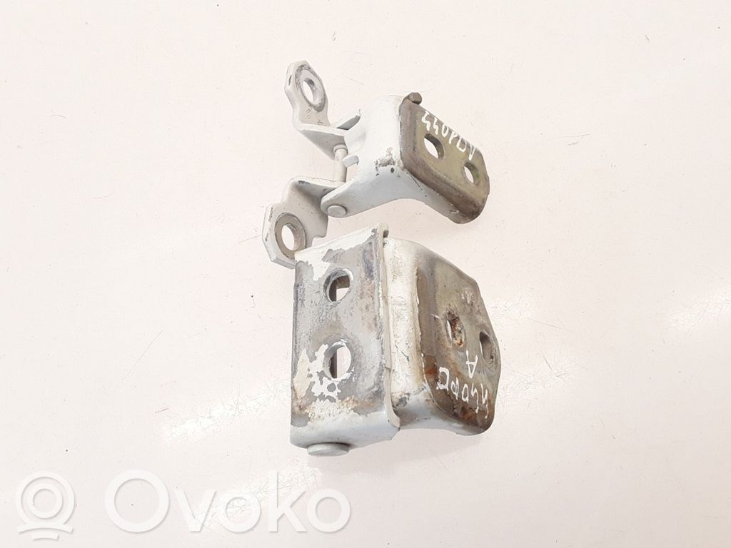 Renault Twingo II Front door hinges set 