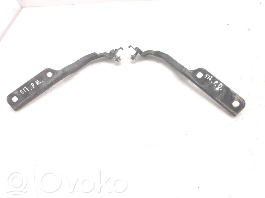 Chrysler Sebring (JS) Vyris (-iai) variklio dangčio 