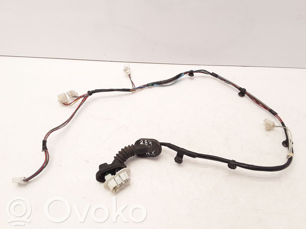 Cableado de puerta trasera   GG2P67210A