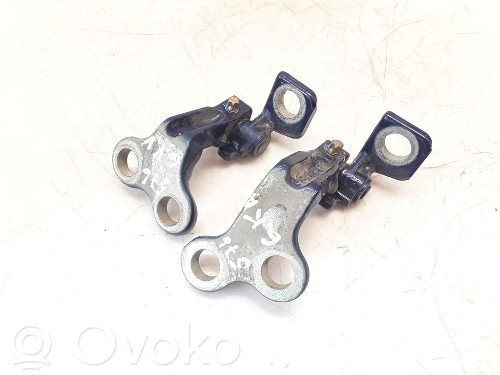 Jaguar X-Type Rear door hinge set 