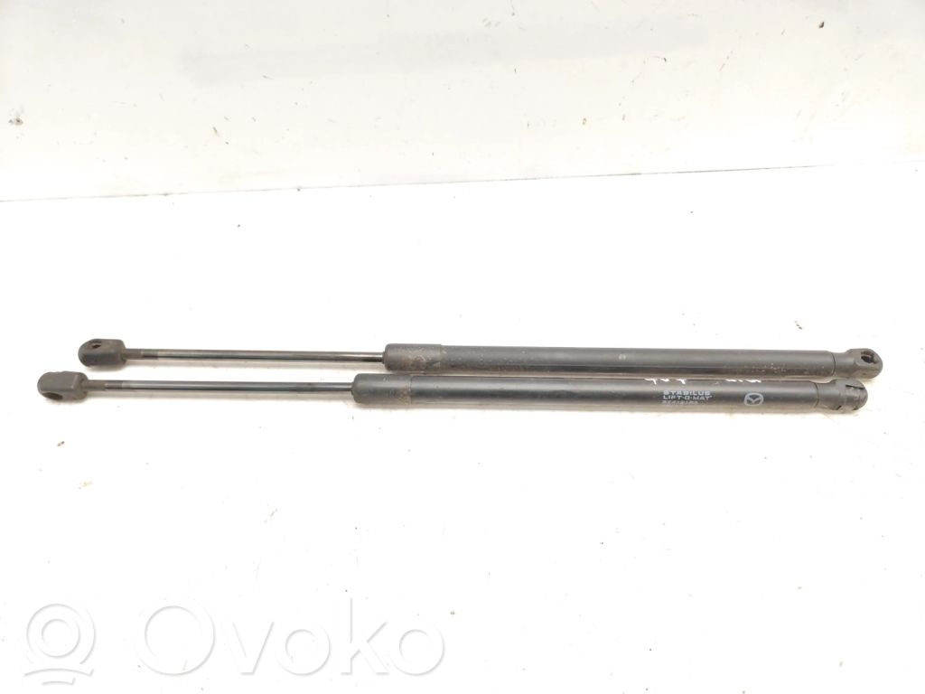Tailgate/trunk strut/damper   D65163620
