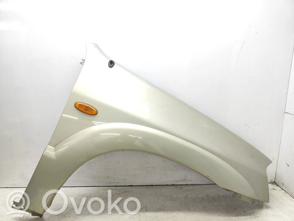 Fender