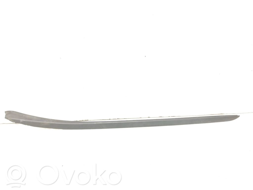 BMW X1 F48 F49 Ornament parbriz 