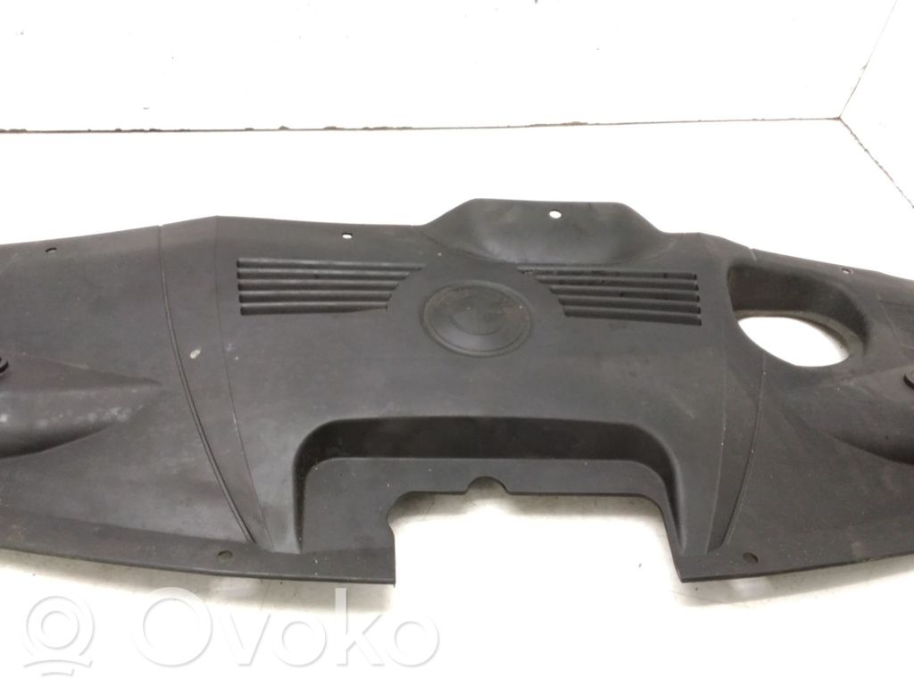 Radiator trim   7162123