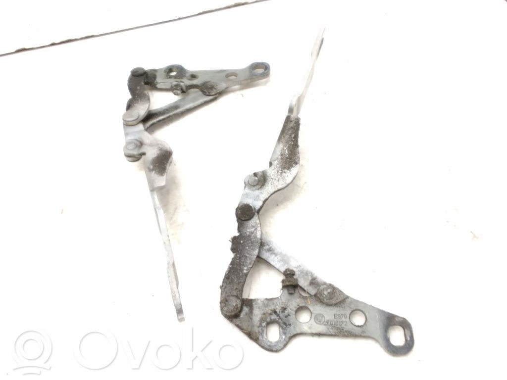 Engine bonnet/hood hinges   7016172,7016171,3547