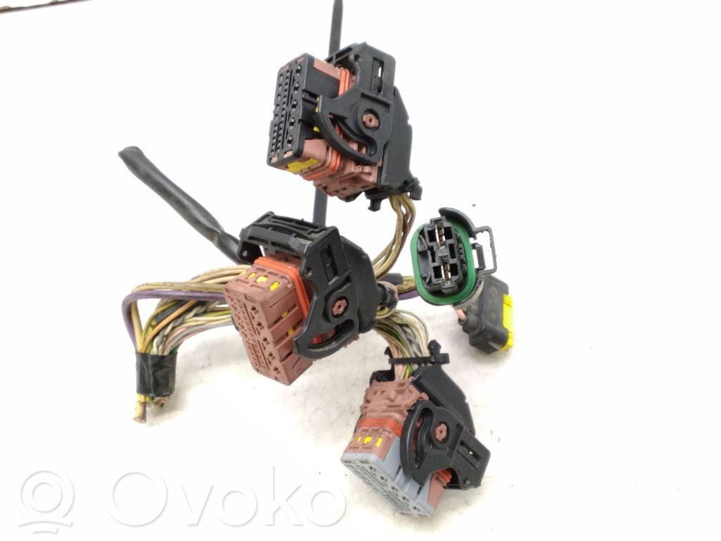 Citroen C6 Other wiring loom 