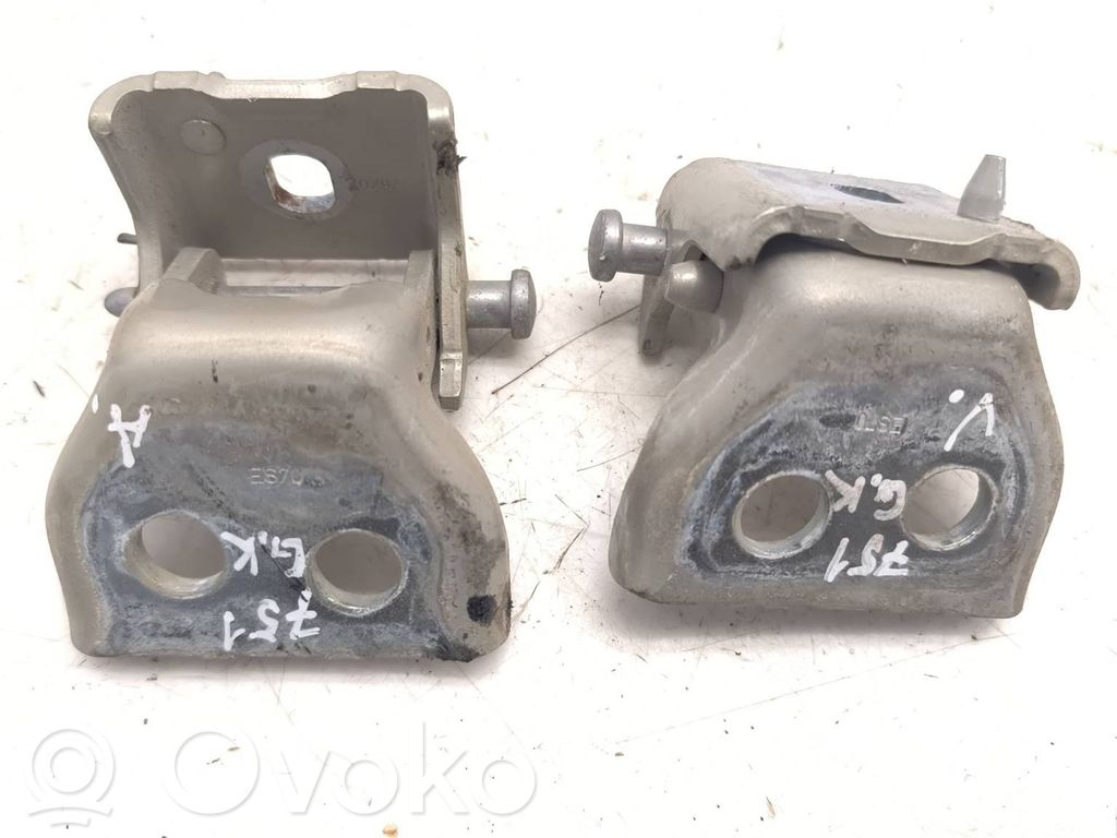 Citroen C4 I Rear door hinge set 