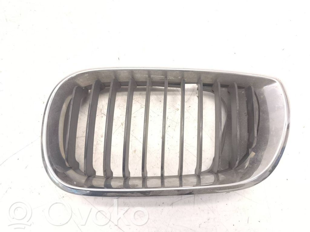 Front grill   7030549,51137030549