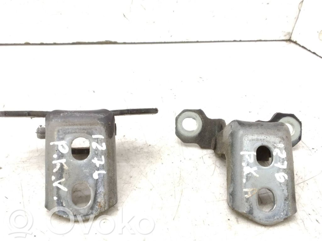 Front door hinge set   TLFRAN