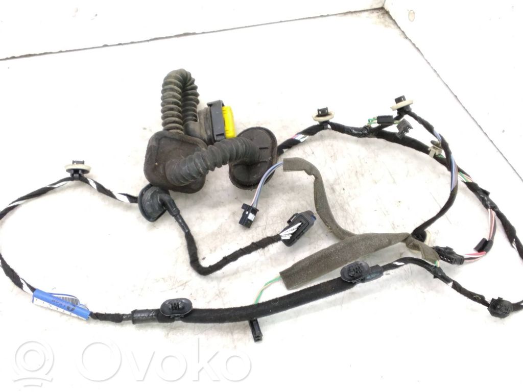 Renault Laguna III Cableado de puerta trasera 