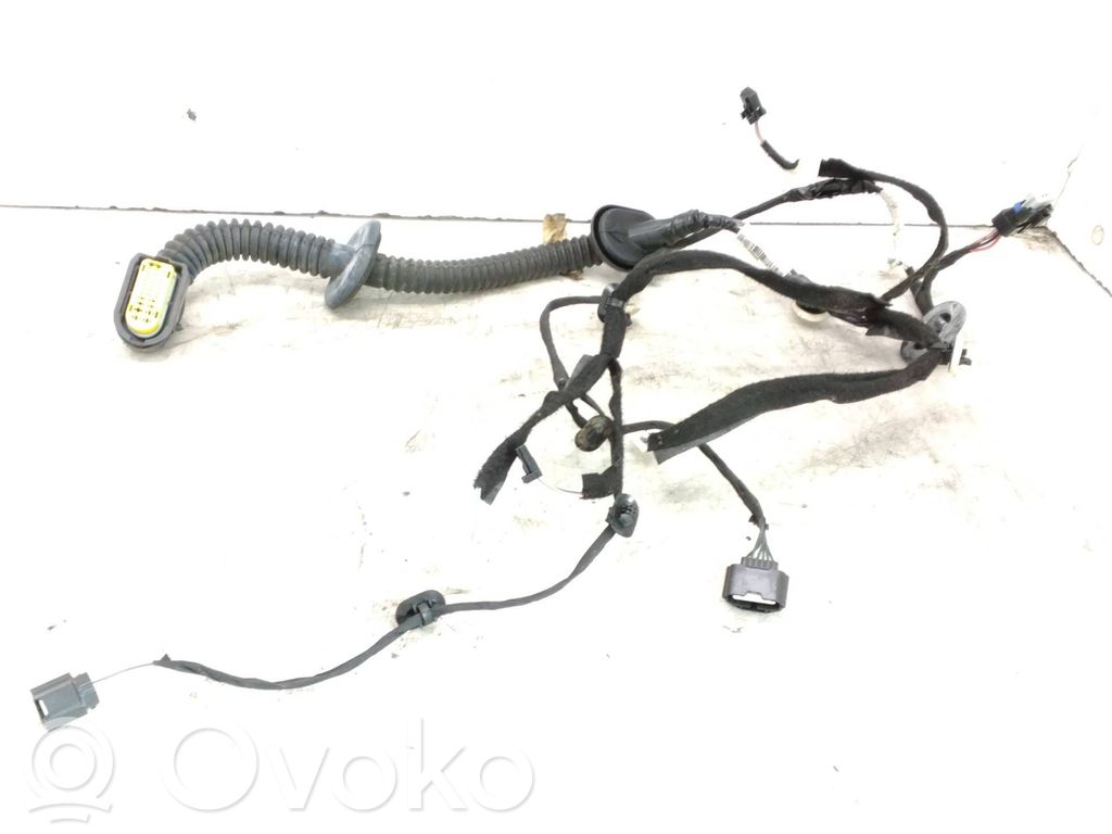 Cableado de puerta trasera   241269652R