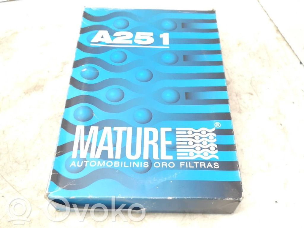 Luftfilter   A251,CA5160