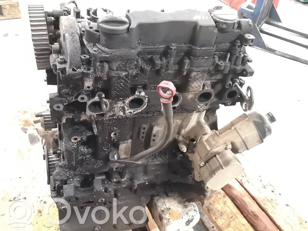Citroen Jumpy Motor 