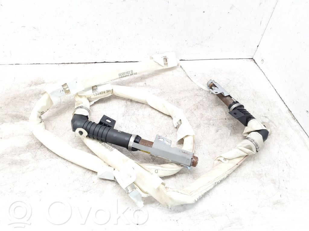 Renault Espace -  Grand espace IV Airbag del techo 