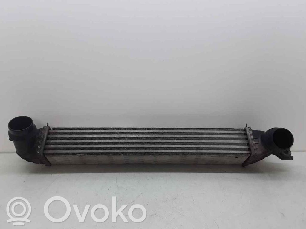 Mini Cooper Countryman R60 Radiatore intercooler 