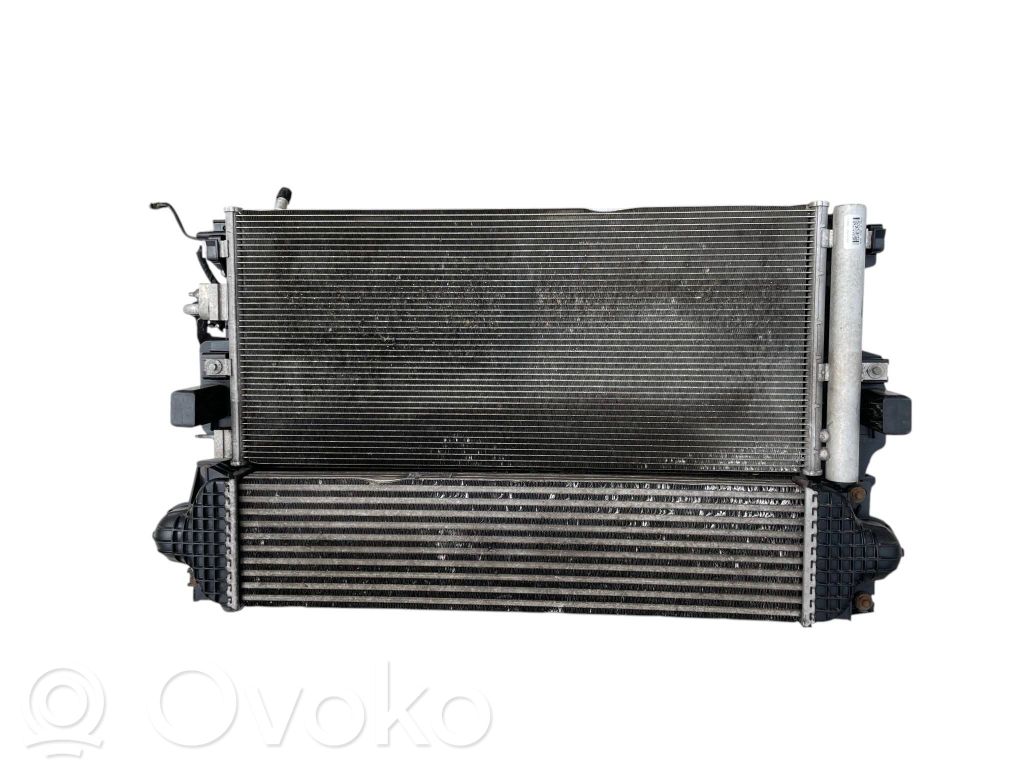 Ford Mondeo MK V Radiator set 