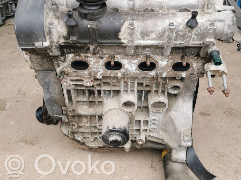 Seat Ibiza III (6L) Двигатель 