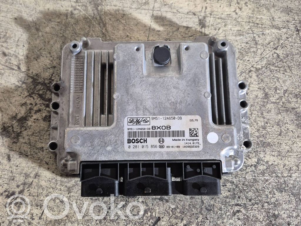 Ford Focus Engine control unit/module 