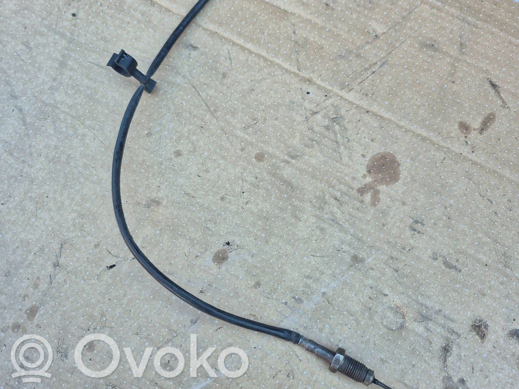 Ford Focus Izplūdes gāzu temperatūras sensors 