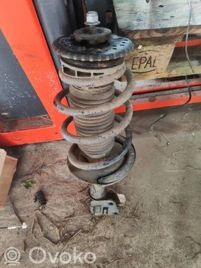 Front shock absorber with coil spring