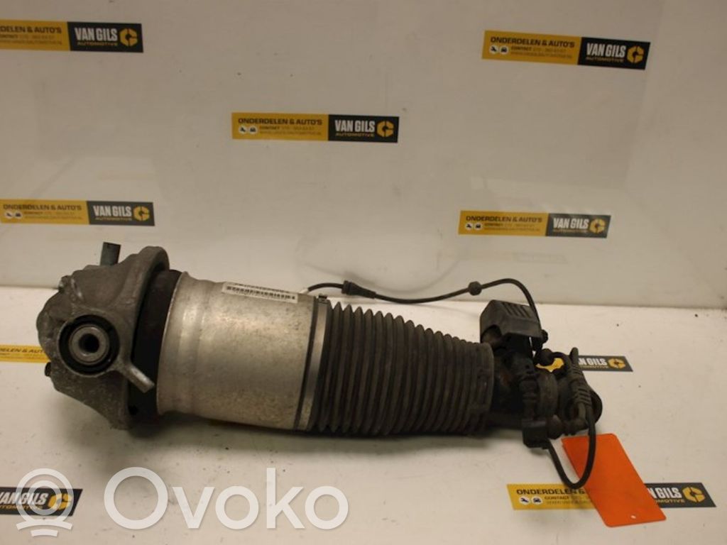 Porsche Cayenne (9PA) Amortizor spate