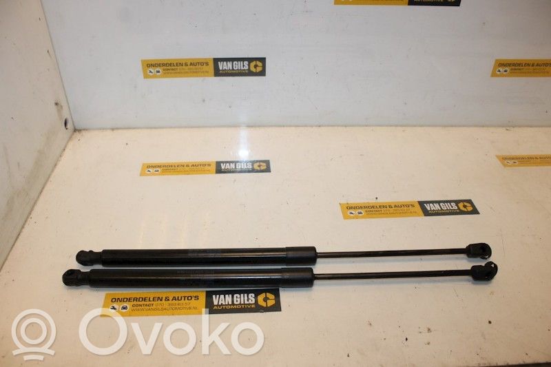 Volkswagen Tiguan Amortyzator klapy tylnej bagażnika