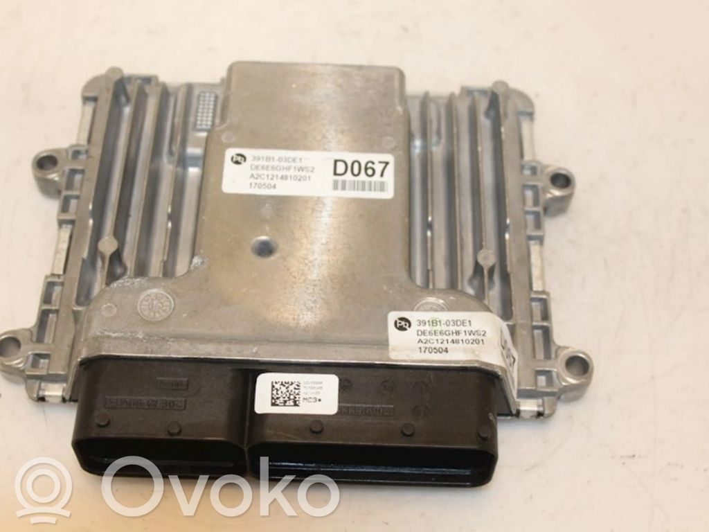 Engine control unit/module   391B103DE1,DE6E6GHF1WS2,391A503DE1,391B103DE1,DE6E6GHF1WS2