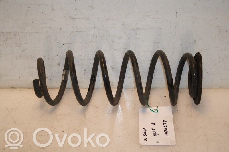Rear coil spring