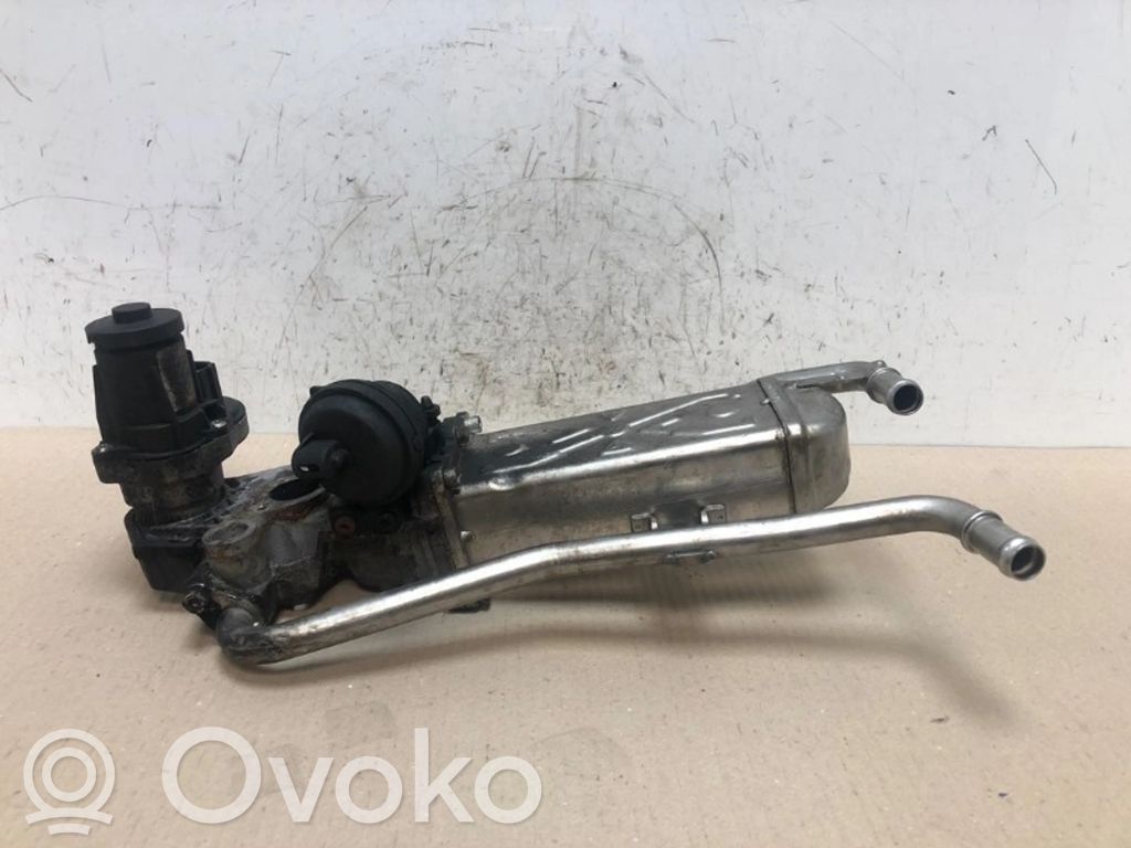 Seat Ibiza IV (6J,6P) Valvola di raffreddamento EGR